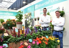 Robin van der Meer and Co Overduin of HilverdaFlorist gave some extra attention to the Garvinea Sweet Blaze. The first yellow-orange bicoloured Garnvinea, was introduced during FlowerTrials this year. The variety is characterized by its compactness and good shelf life.